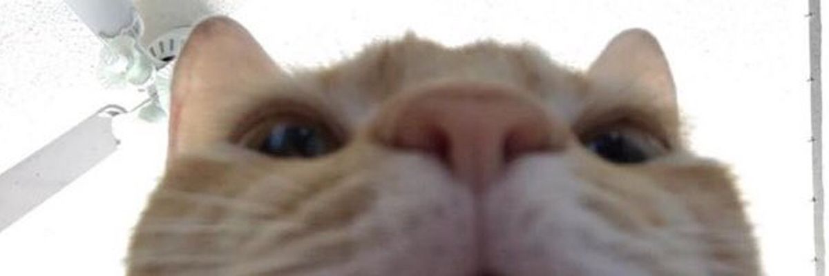 My banner